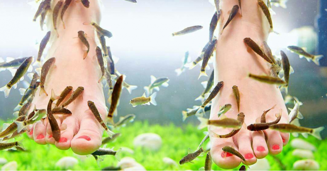 اطلاعات درباره نوعی ماساژ اسپا